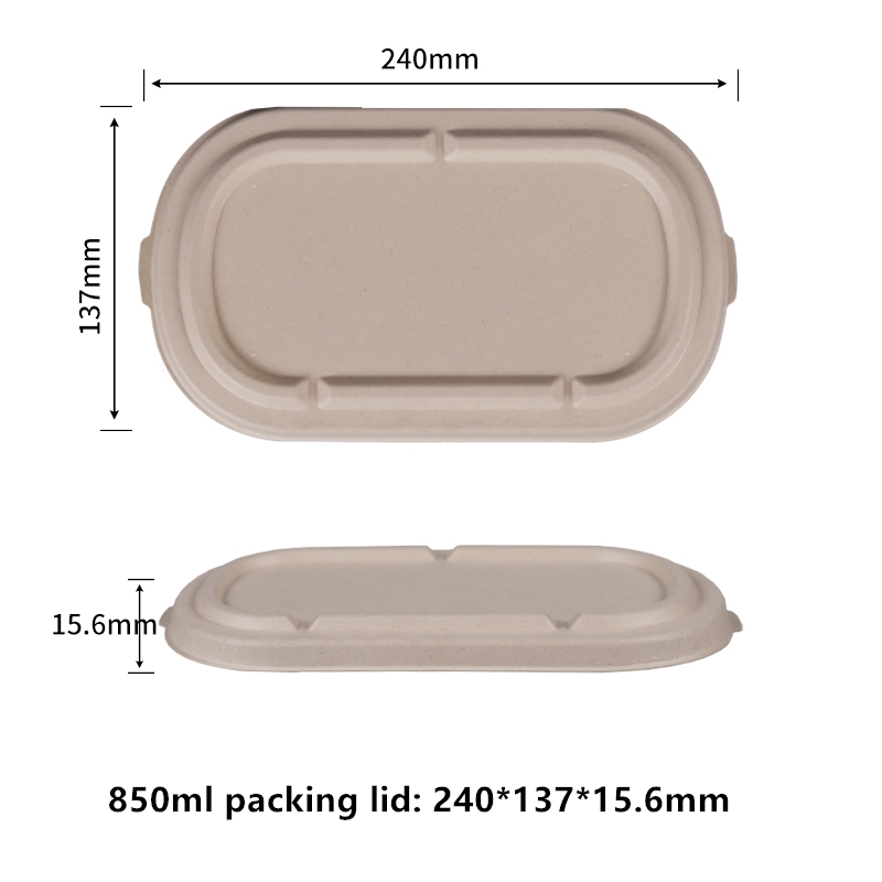 Fibre de sucre sans PFAS 850 ml Couvercle d'emballage jetable compostable Récipient alimentaire jetable Bagasse rectangulaire fabriqué à partir de fibres végétales respectueuses de l'environnement de canne à sucre