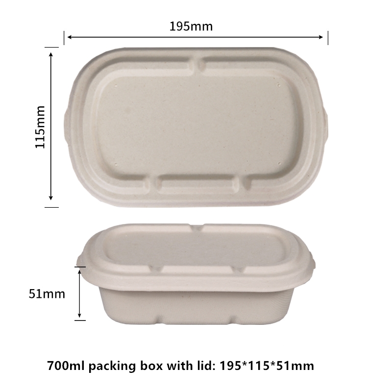 Canne à sucre sans PFAS 100 % biodégradable sans PFAS Récipients alimentaires à clapet de 700 ml avec couvercles Contenants à emporter compostables pour hamburgers - Boîtes à emporter en bagasse écologique Boîtes jetables allant au micro-ondes