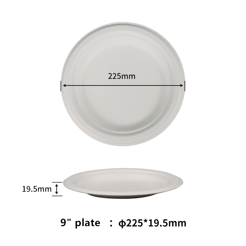 Assiette de bagasse jetable de 9 pouces, 100% compostable, sans PFAS, faite de fibres de canne à sucre naturelles, robuste et écologique