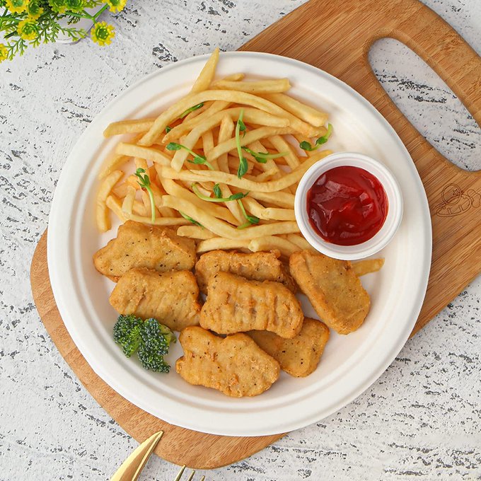 sugarcane bagasse plate