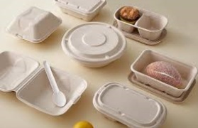 Assiette biodégradable en pulpe de canne à sucre : une révolution durable dans la vaisselle