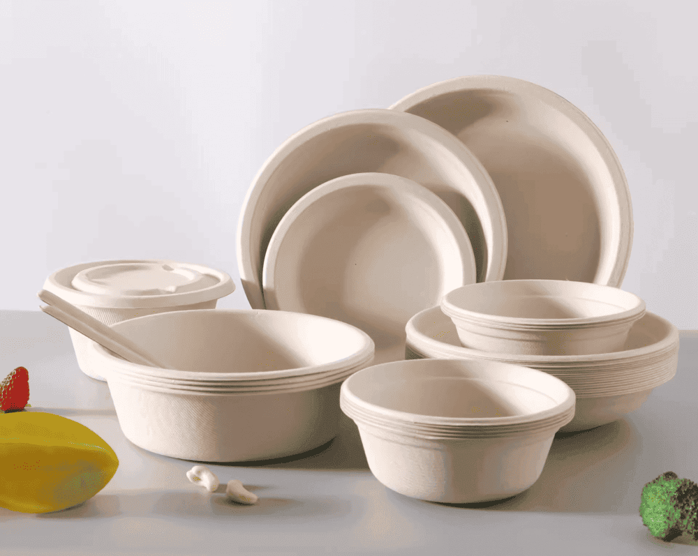 La promesse de la vaisselle en bagasse : un avenir durable avec une écotechnologie sincère