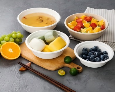 SINCERE Ecological Technology Co., Ltd. participe au Salon international des machines et ingrédients alimentaires de Riyad 2025.
