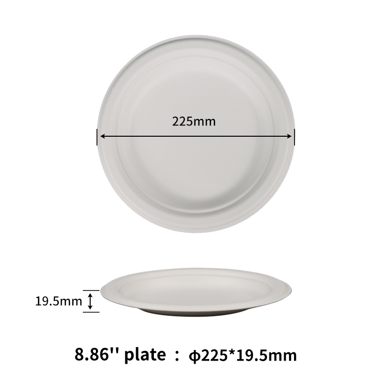 Assiette de bagasse jetable écologique et robuste de 8,75 pouces 100 % compostable, fabriquée à partir de fibres naturelles de canne à sucre - SINCERE