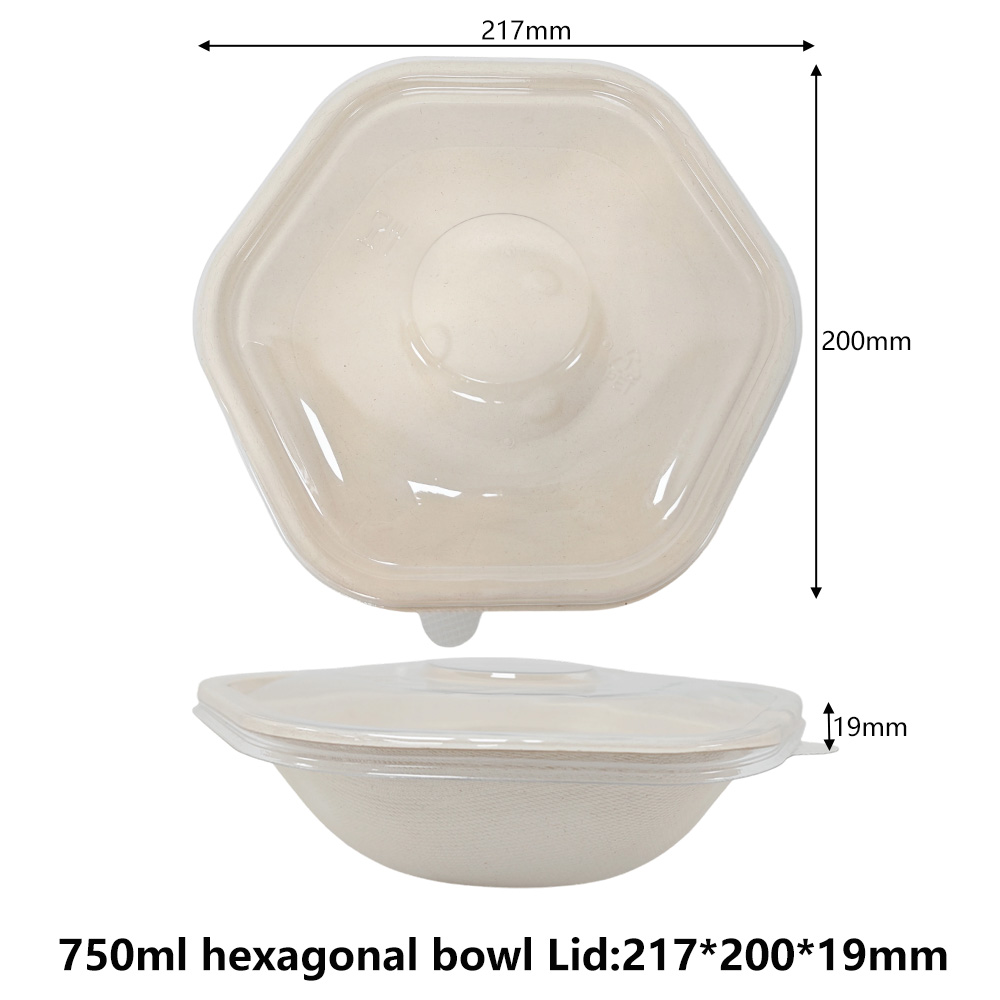 750ML Sugarcane Bagasse Hexagonal Bowl With PET Lids Disposable Clear Plastic Lids - SINCERE