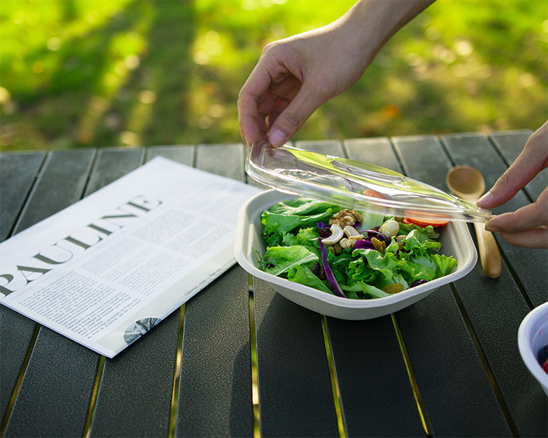 Bagasse Tableware Gains Momentum as Sustainable Alternative in Food Service