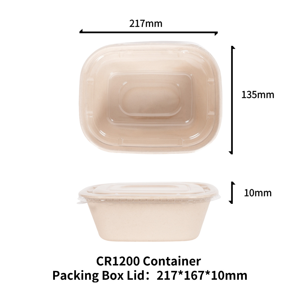 Sugarcane bagasse food container
