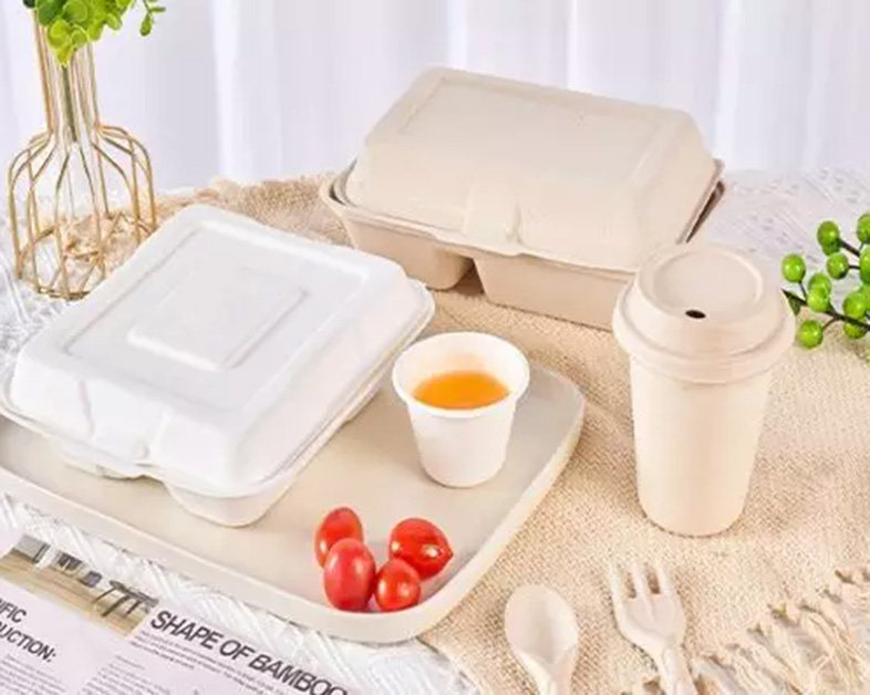 Le marché de la vaisselle en bagasse atteindra 356,7 millions de dollars d’ici 2030 : les alternatives durables prennent de l’ampleur