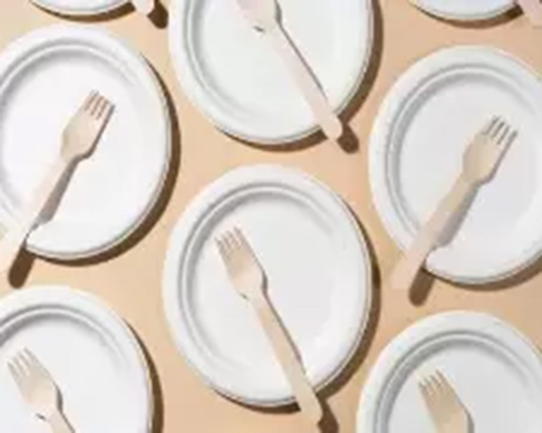 La demande croissante de vaisselle jetable dans les services de livraison de restaurants : focus sur des solutions durables avec la pulpe de canne à sucre