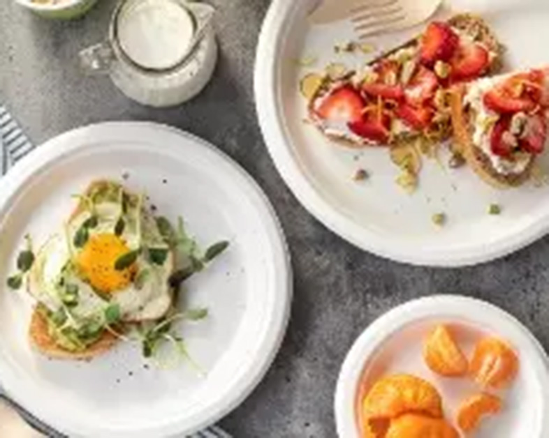 QU'EST-CE QUE LA BAGASSE ?