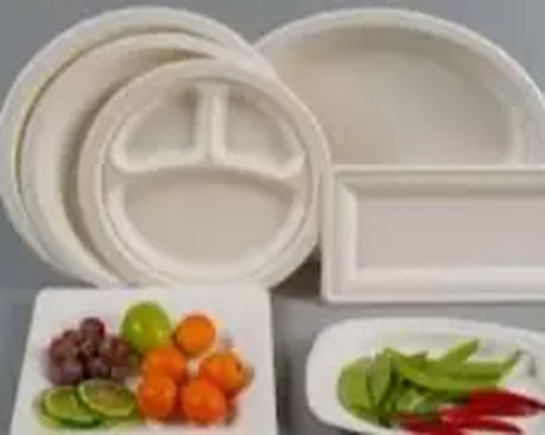 Qu’est-ce que la bagasse ? 14 Avantages et bénéfices du conditionnement en bagasse