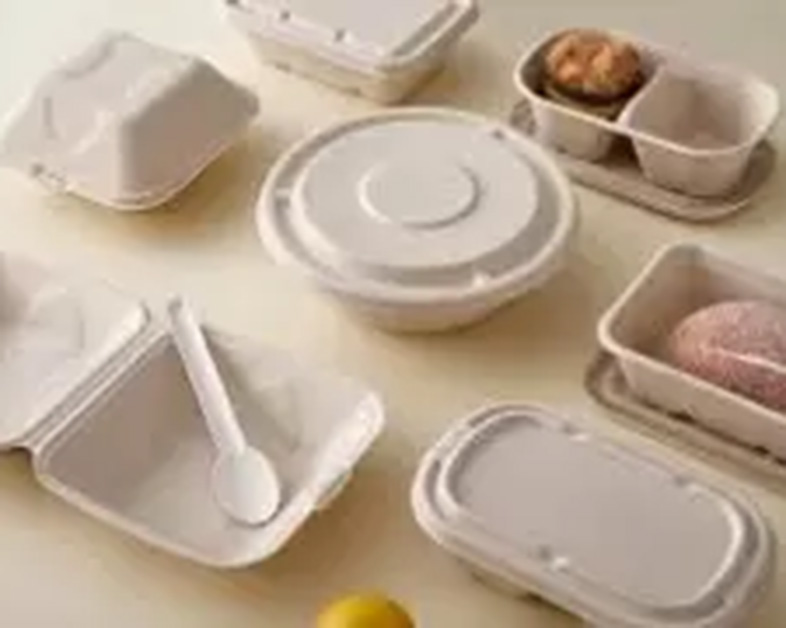 Assiette biodégradable en pulpe de canne à sucre : une révolution durable dans la vaisselle