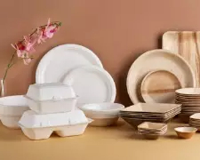 Passez au vert avec des alternatives écologiques aux contenants en plastique et en mousse
