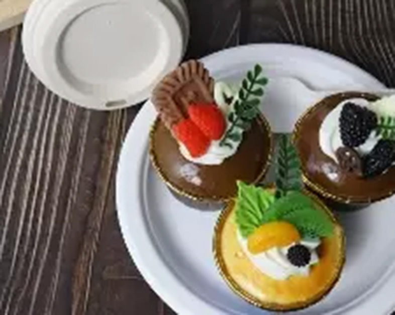 La vaisselle jetable écologique en bagasse de canne à sucre convient-elle à mon entreprise ?