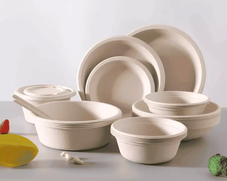 La promesse de la vaisselle en bagasse : un avenir durable grâce à Sincere Ecotech