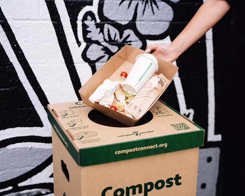 Bagasse de canne à sucre : une alternative écologique aux plastiques traditionnels