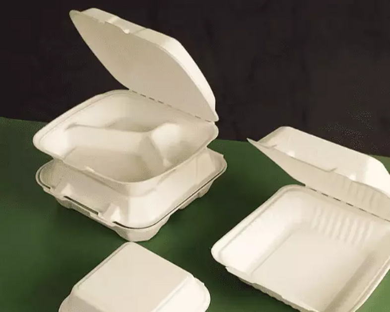 Quel avenir pour les contenants alimentaires en pulpe de canne à sucre (pulpe moulée) ?