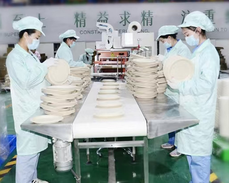 La vaisselle en pâte entièrement dégradable du groupe sincère a été sélectionné les produits verts municipaux