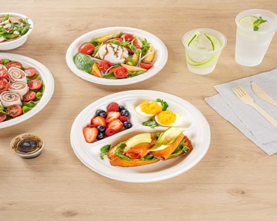 Clash of Aesthetics and Eco-Friendly Goals in Takeaway Packaging: How Bagasse Tablewares Deliver Both