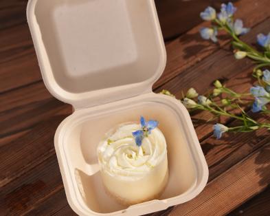 Global Eco-Consumption Awareness Rises as Consumers Drive the Shift Toward Bagasse Tableware
